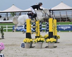 jumper Quasca Artist vd Guldennagel -V (Belgian Warmblood, 2016, from Asca Z)