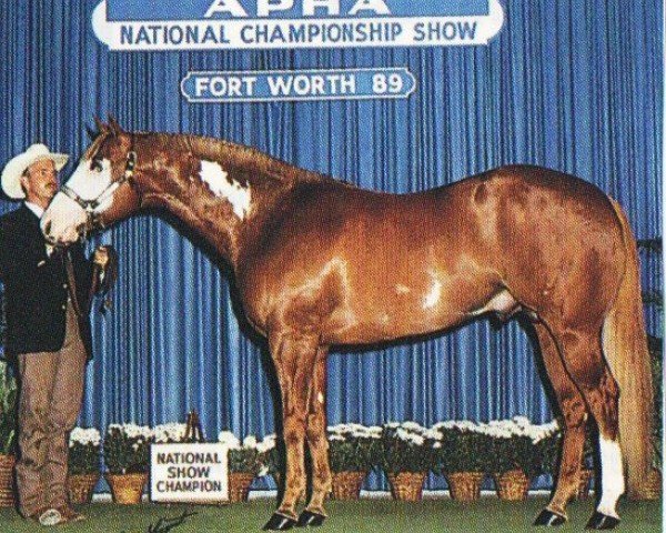 horse Turbo (Paint Horse, 1986, from Mr. Robin Boy)