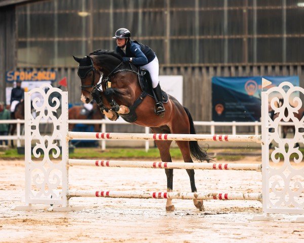 jumper Call Me Blinki B (Westphalian, 2018, from Capistrano 2)