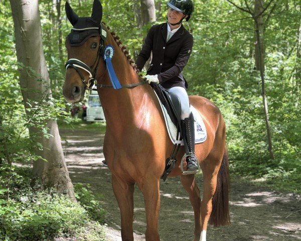 dressage horse Der Glücksgriff (Hanoverian, 2019, from Da Costa)