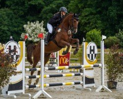 jumper Kai (German Sport Horse, 2018, from Kaid H Z)