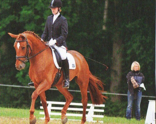 horse Filanda 2 (Oldenburg, 2005, from Sandro Song)