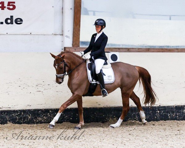 dressage horse Li Mone (German Riding Pony, 2018, from Limasol)
