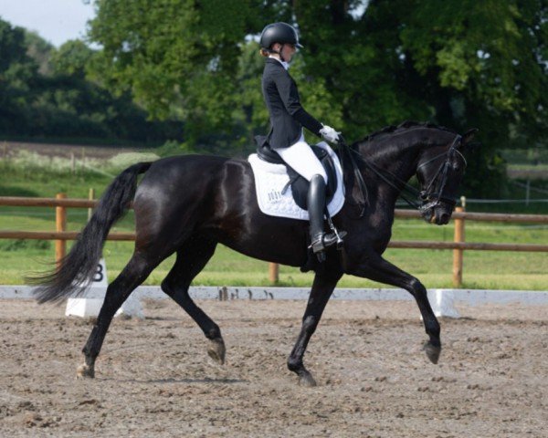 dressage horse Dali 60 (Hanoverian, 2016, from Dancier)