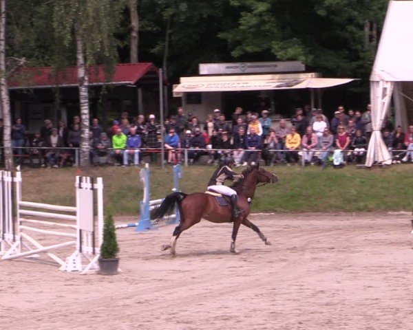 Reitturnier Langenleuba - Oberhain 2025
