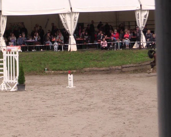 Reitturnier Langenleuba - Oberhain 2025