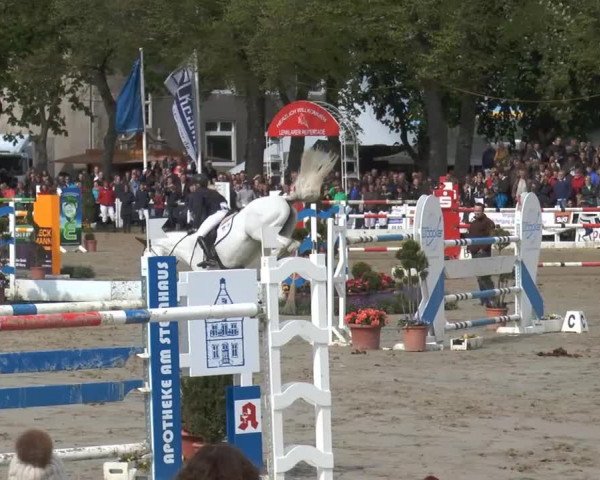 Lenklarer Reitertage 2014