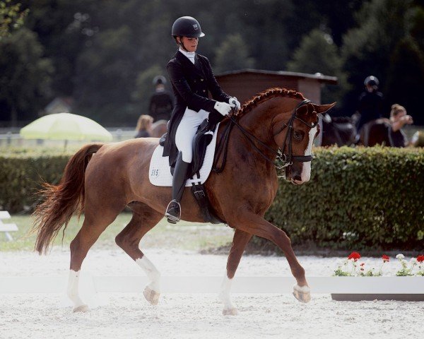 Dressurpferd Lara 538 (Deutsches Sportpferd, 2009, von Lord Fantastic)