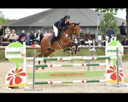Springpferd Ay Caramba 4 (Holsteiner, 2018, von London)