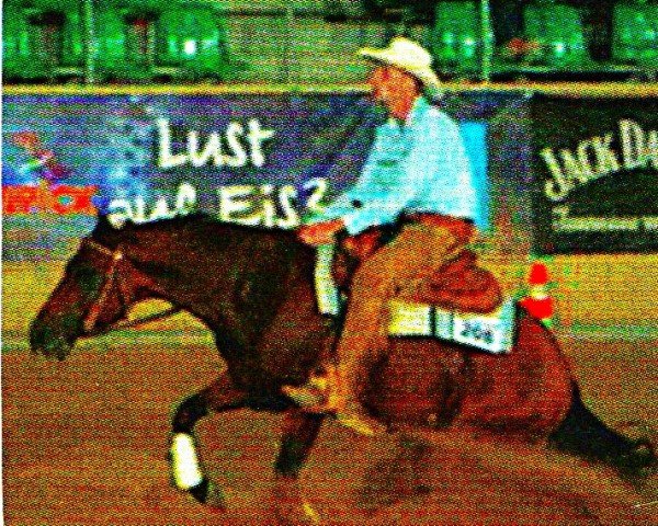 horse Charly (Quarter Horse, 2002, from As smart as Charley)