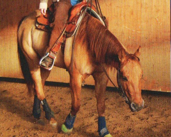 horse Miles (Quarter Horse, 2006, from ARC King Cody)