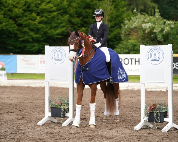 dressage horse Irvine 4 (Oldenburg, 2019, from Asgard's Ibiza)