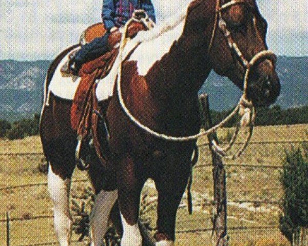 horse Rock Me Zippo (Paint Horse, 1993, from Zippo Pine Bar)