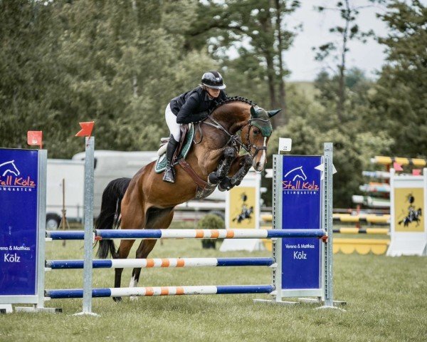 jumper Colombia Fly (Hanoverian, 2020, from Chacfly PS)