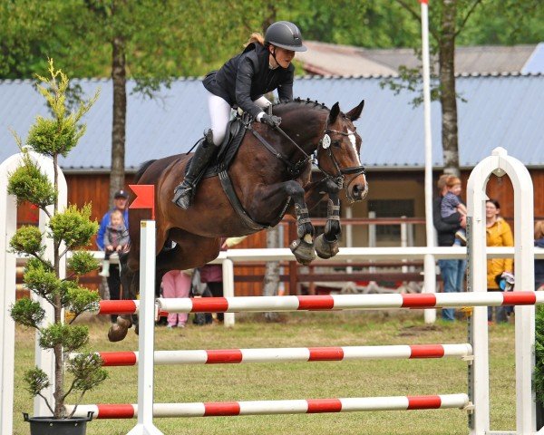 jumper Cuteness (Oldenburg, 2012, from Confiance 4)