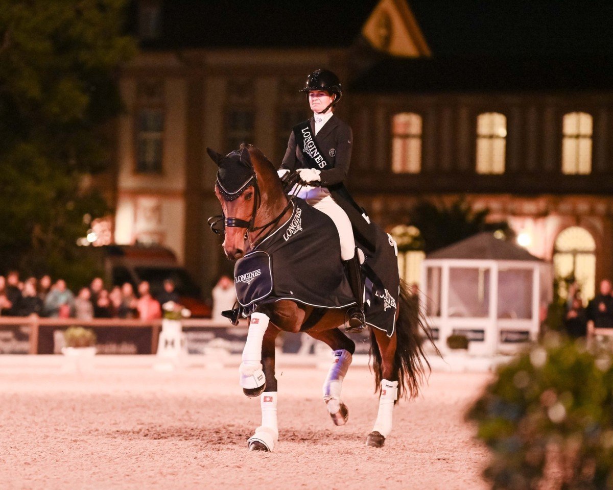 dressage horse Rockson (Danish Warmblood, 2011, from Rockefeller)