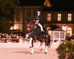 Dressurpferd Rockson (Dänisches Warmblut, 2011, von Rockefeller)