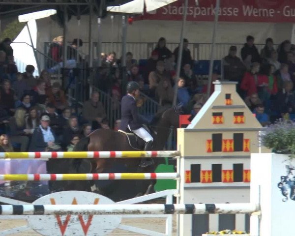 Lenklarer Reitertage 2014