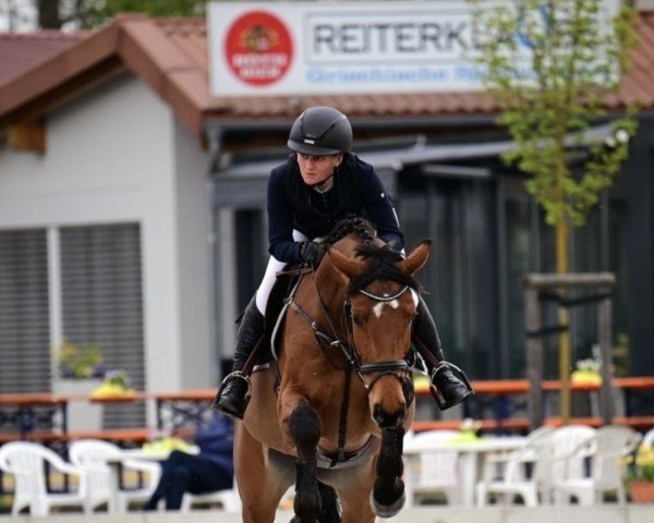 jumper Dia Askado J (Mecklenburg, 2019, from Dia Corrado)