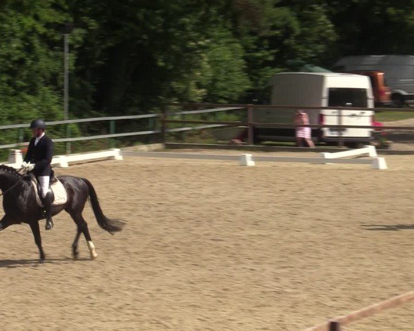 Reitturnier Letmathe 2025