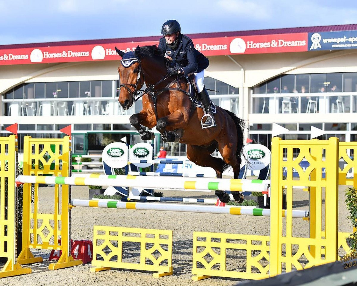 jumper Top Gun 102 (Zangersheide riding horse, 2013, from Casimo)