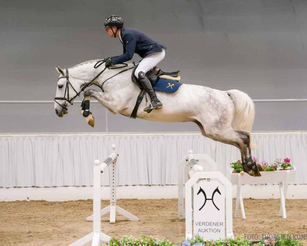 jumper Conakry 2 (Hanoverian, 2020, from Cohinoor VDL)