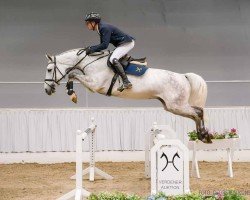jumper Conakry 2 (Hanoverian, 2020, from Cohinoor VDL)