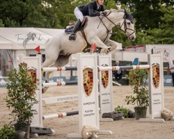jumper Clarino de Luxe (Holsteiner, 2011, from Clarimo Ask)