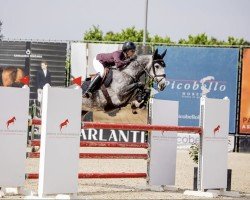 jumper Bianca Na (American Warmblood, 2019)