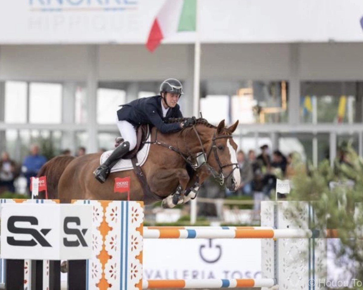 broodmare Miu Miu van Overis (Belgian Warmblood, 2012, from Inshallah de Muze)