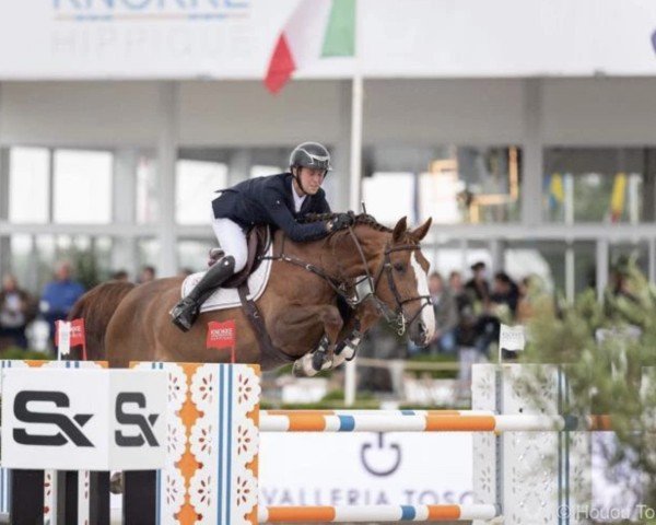 broodmare Miu Miu van Overis (Belgian Warmblood, 2012, from Inshallah de Muze)