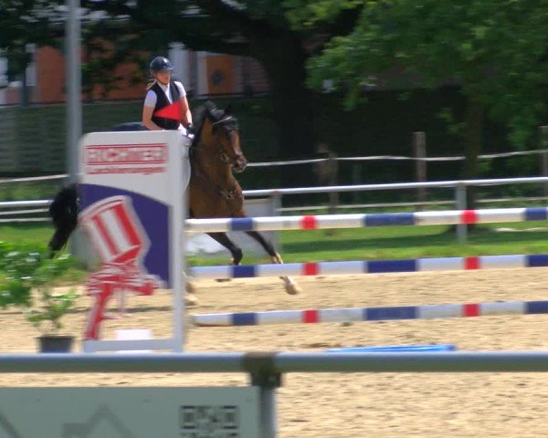 Reitturnier Coesfeld/Lette 2025