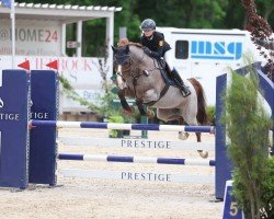 Springpferd Del Gardo (Deutsches Reitpony, 2017, von Del Piero 25)