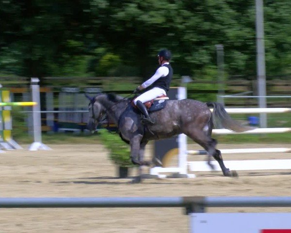 Reitturnier Coesfeld/Lette 2025