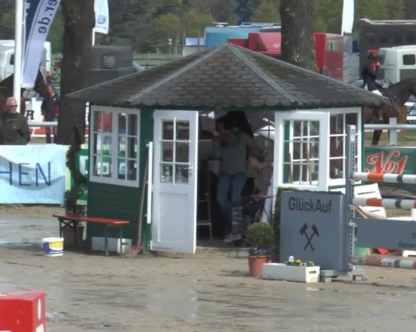 Lenklarer Reitertage 2014