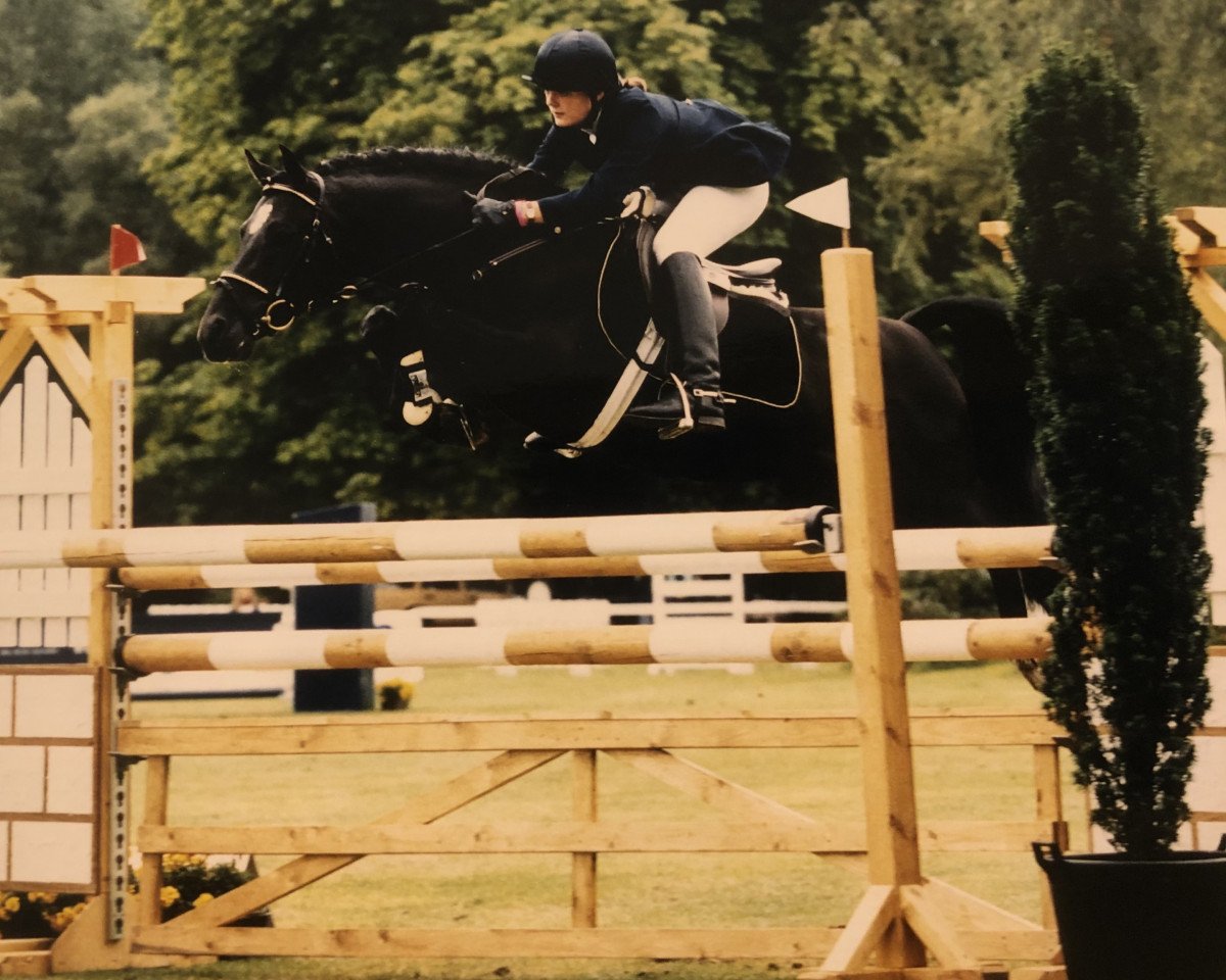 stallion Black Dancer (German Riding Pony, 1992, from Black Boy)