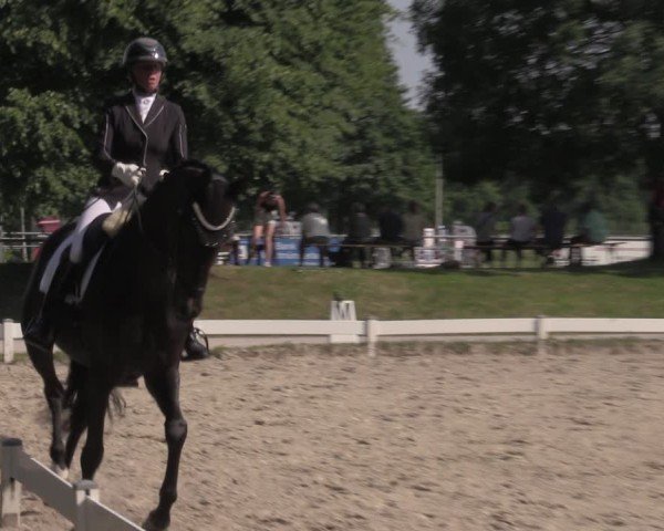 Reitturnier Coesfeld/Lette 2025