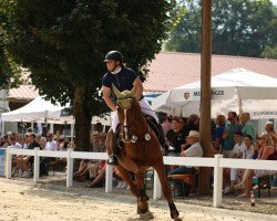 jumper Skandus H (Württemberger, 2003, from Salieri)