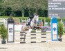 jumper Monaghan Ashley (Connemara Pony, 2010, from Tabragh)