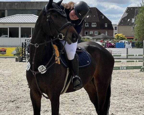 Springpferd Madrid 22 (Holsteiner, 2019, von Central Park 6)