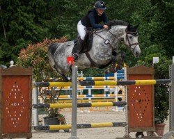 jumper Glasgow's Emy (German Sport Horse, 2018, from Glasgow van het Merelsnest)
