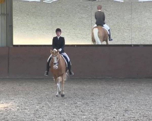 Bonn - Gut Ettenhausen 2014