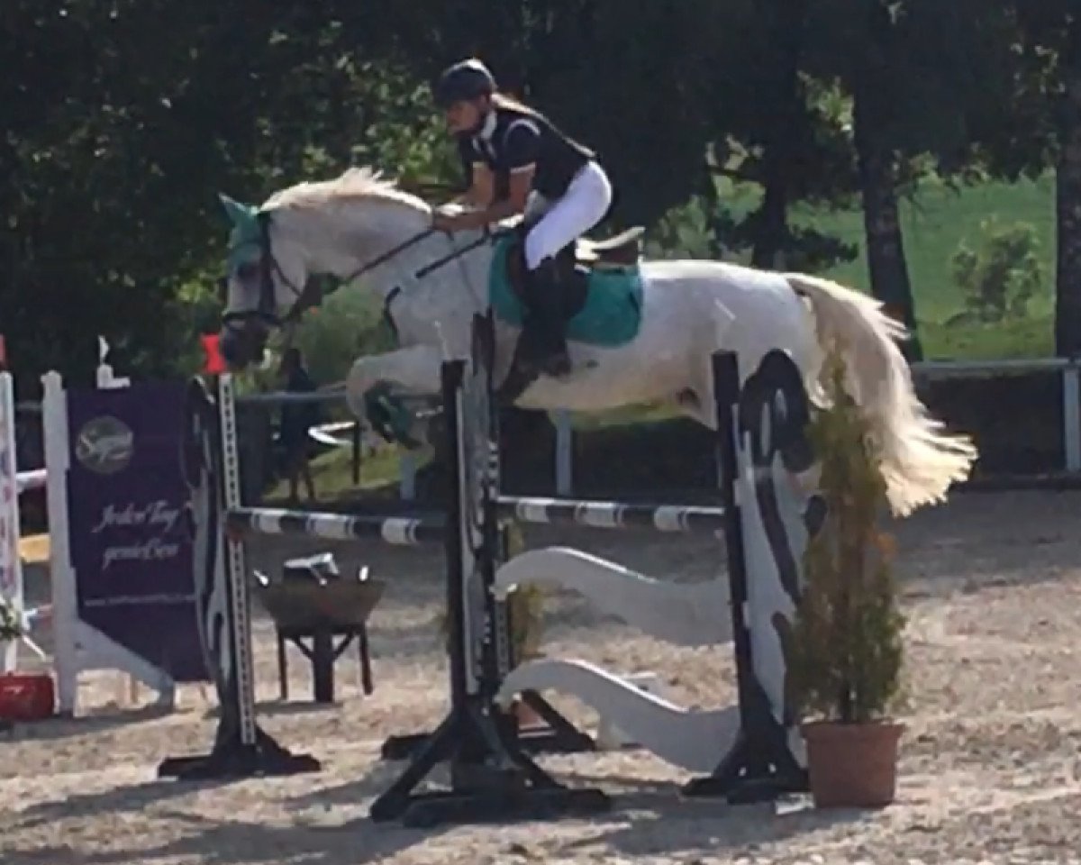 broodmare Quite Quitte (Oldenburg, 2004, from Quite Capitol)
