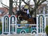 jumper Don Paolo Fasciana (Oldenburg show jumper, 2016, from Diarado's Boy)