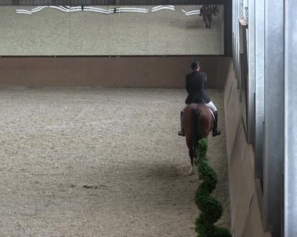 Bonn - Gut Ettenhausen 2014