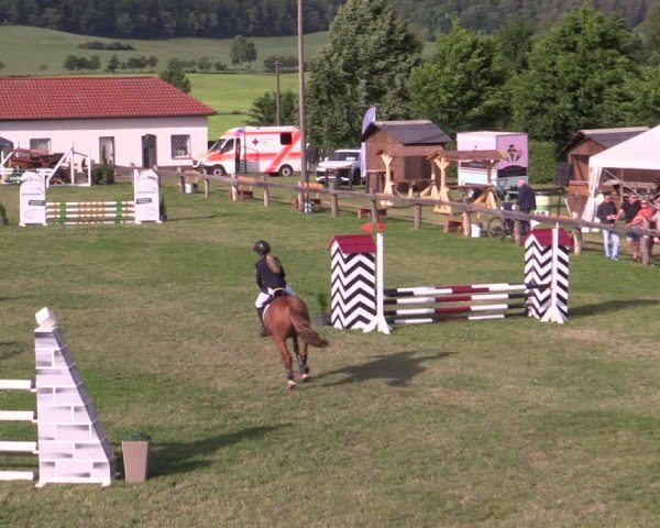 Reitturnier Wingerode 2025