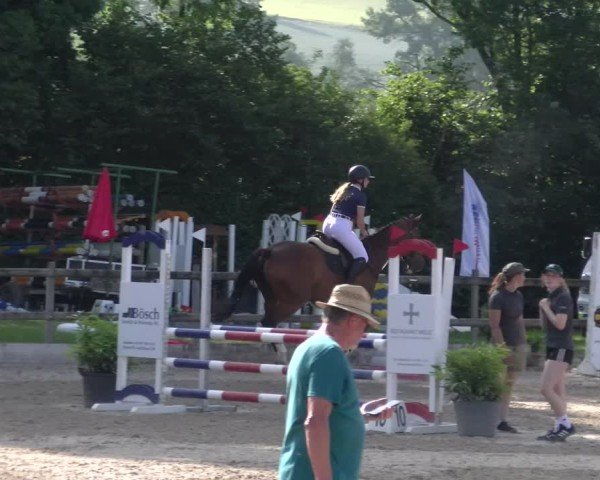 Reitturnier Ruswil 2025