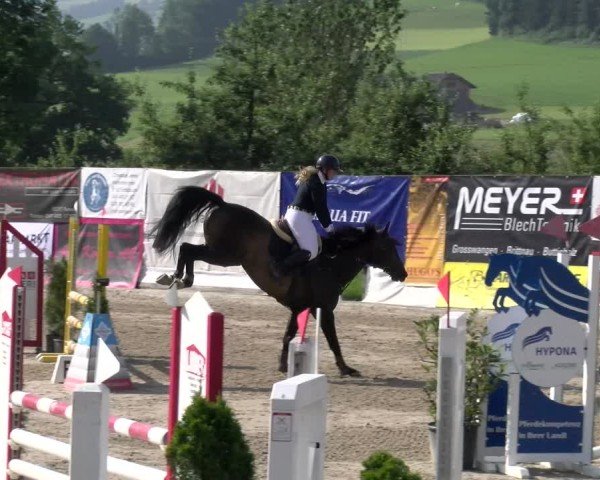 Reitturnier Ruswil 2025