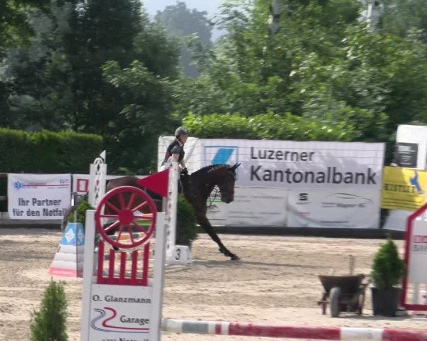 Reitturnier Ruswil 2025
