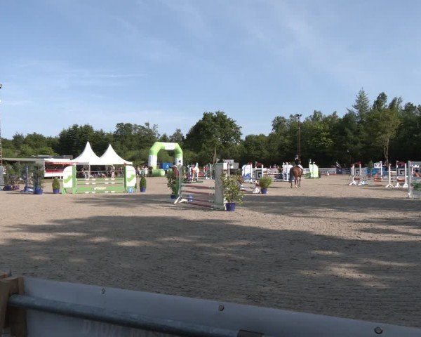 Reitturnier Großenwiehe 2025